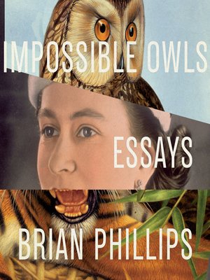 cover image of Impossible Owls